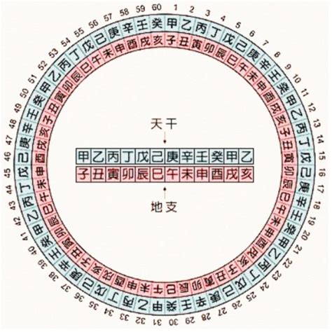 2023天干地支五行|天干属性 干支纪年对照表